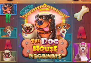 Автомат The Dog House Megaways в казино Апекс Спинс